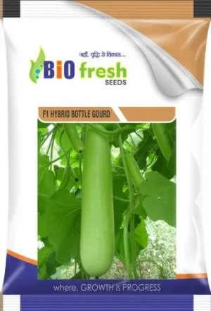 Maize Seeds Packaging Bag