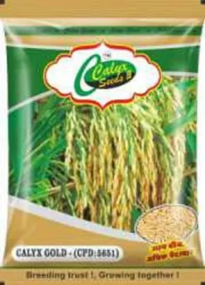 Seeds Packaging Bag