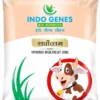 product-jpeg-500x500 (13) Packaging Pouches For Seeds