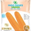 product-jpeg-500x500 (14) Packaging Pouches For Seeds