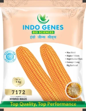 product-jpeg-500x500 (14) Packaging Pouches For Seeds