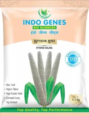 product-jpeg-500x500 (16) Packaging Pouches For Seeds