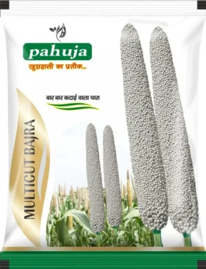product-jpeg-500x500 (17) Packaging Pouches For Seeds