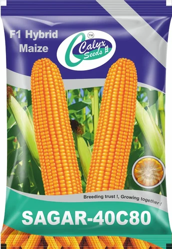 Seeds Packaging Bag