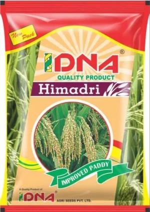 Maize Seeds Packaging Bag