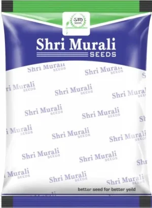 Plastic packaging seeds Pouch manufacturers Plastic packaging seeds Pouch manufacturers