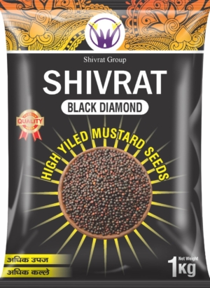 High Yiled Mustard Seeds