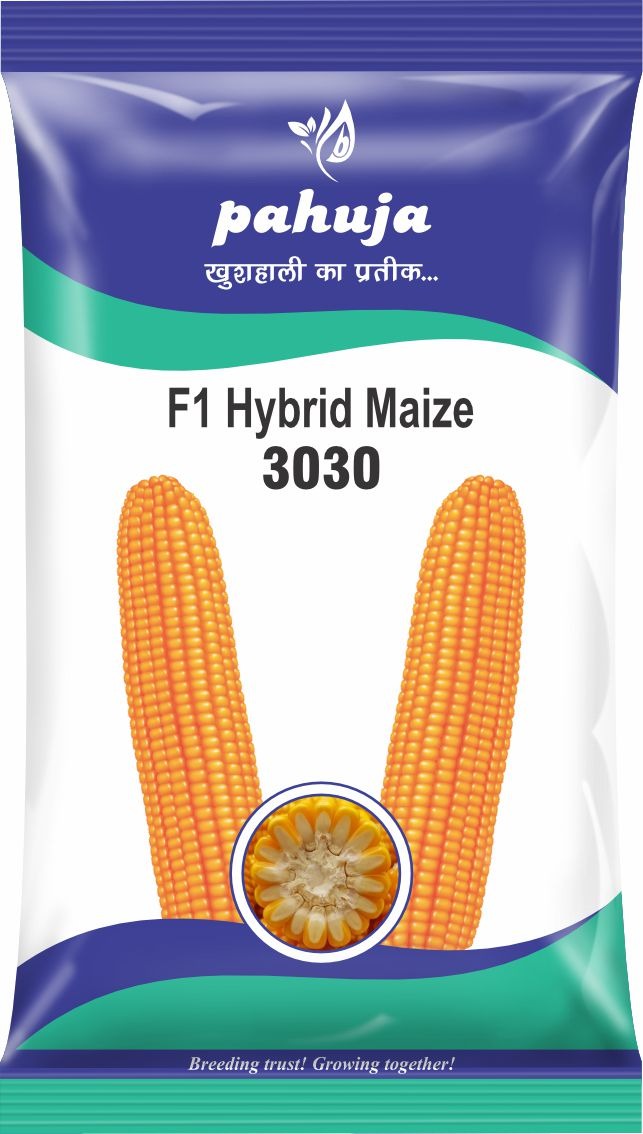 Pahuja Maize Seeds Bag