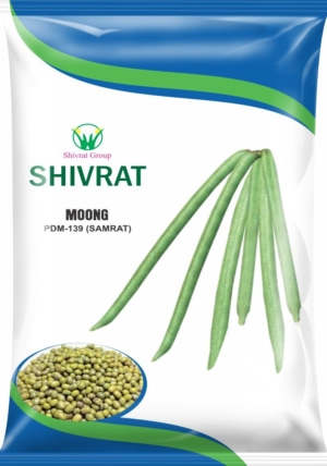 Moong Seeds Bag